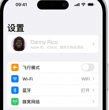 青羊appleID维修服务iPhone设置中Apple ID显示为灰色无法使用 