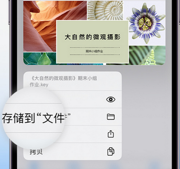 青羊apple维修中心分享iPhone文件应用中存储和找到下载文件