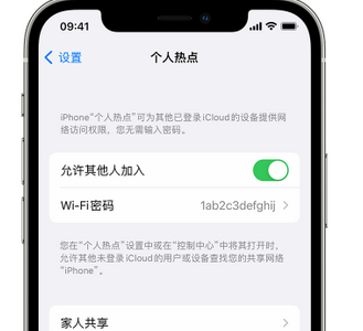 青羊apple服务站点分享iPhone上个人热点丢失了怎么办 