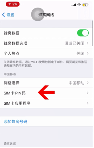 青羊苹果14维修网分享如何给iPhone14的SIM卡设置密码 