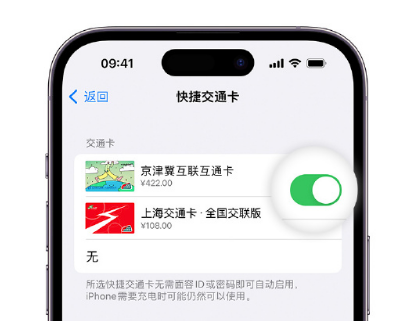 青羊apple维修点分享iPhone上更换Apple Pay快捷交通卡手绘卡面 