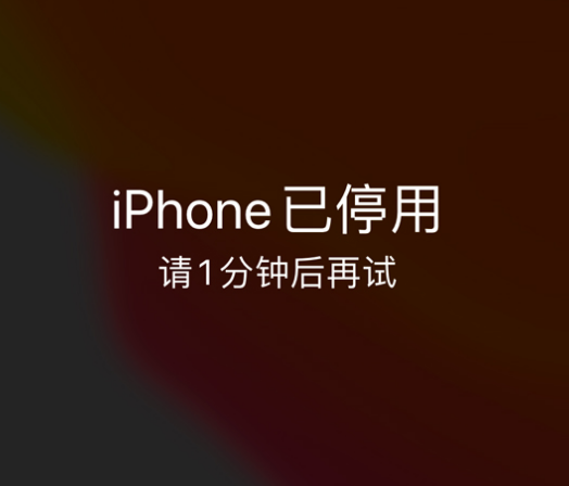 青羊苹果手机维修分享:iPhone 显示“不可用”或“已停用”怎么办？还能保留数据吗？ 