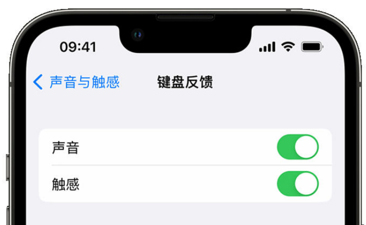 青羊苹果手机维修分享iPhone 14触感键盘使用方法 