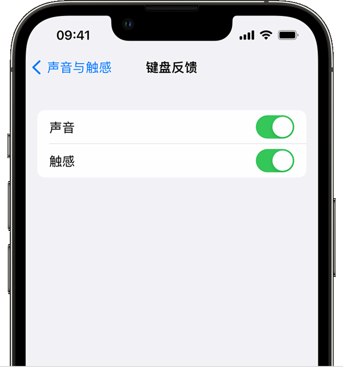 青羊苹果14维修店分享如何在 iPhone 14 机型中使用触感键盘 