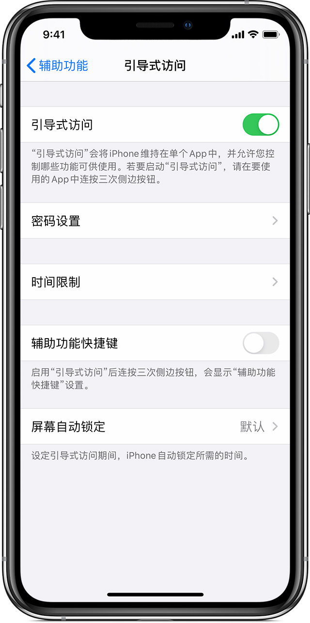 青羊苹果手机维修分享如何在 iPhone 上退出引导式访问 