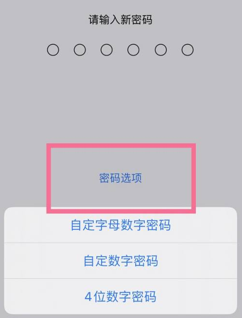 青羊苹果14维修分享iPhone 14plus设置密码的方法 