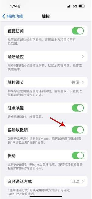 青羊苹果手机维修分享iPhone手机如何设置摇一摇删除文字 