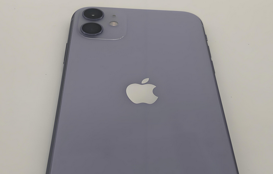 青羊苹果11系统维修分享iPhone11手机系统崩溃无法开机如何解决 